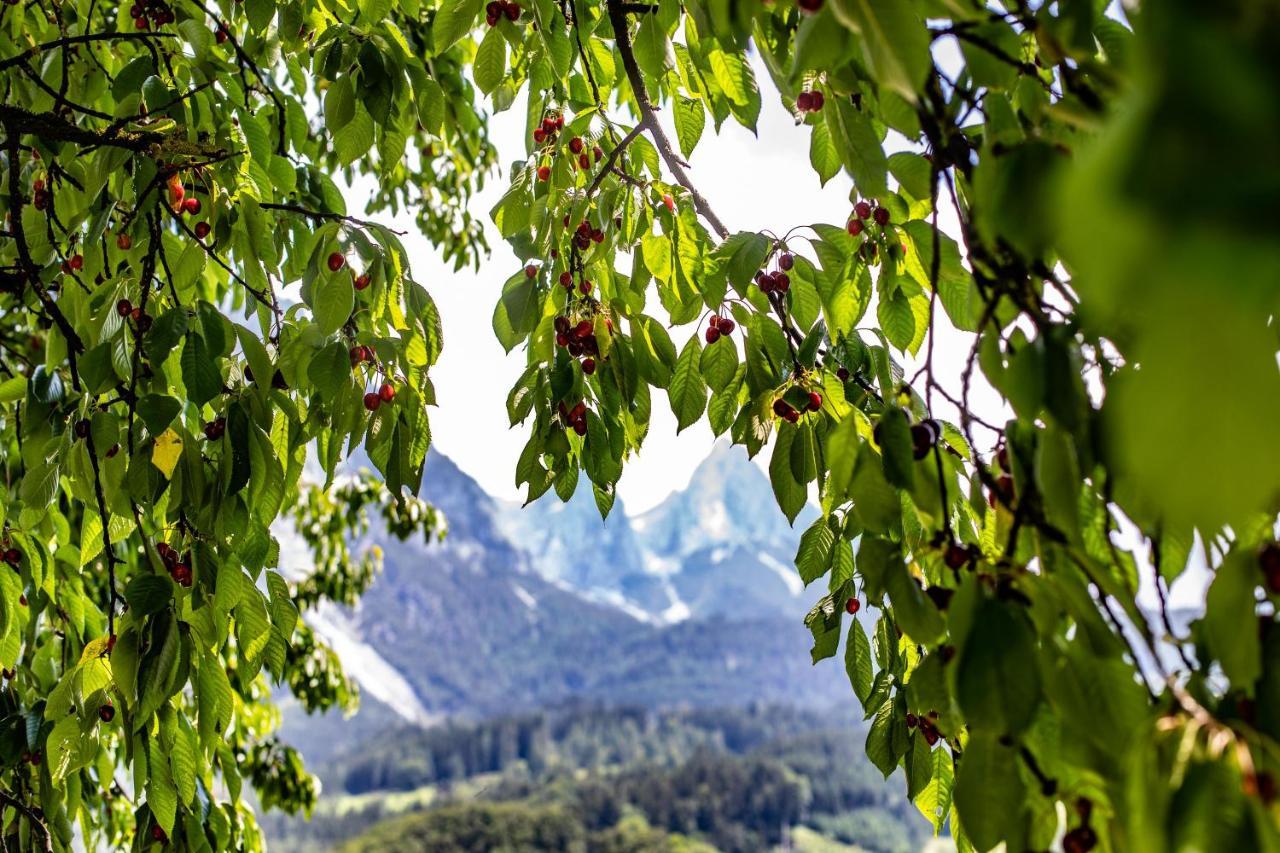 Alpenrelax Haus Weidmannsheil Wohnen Im Romantischen Forsthaus Werfen Eksteriør bilde