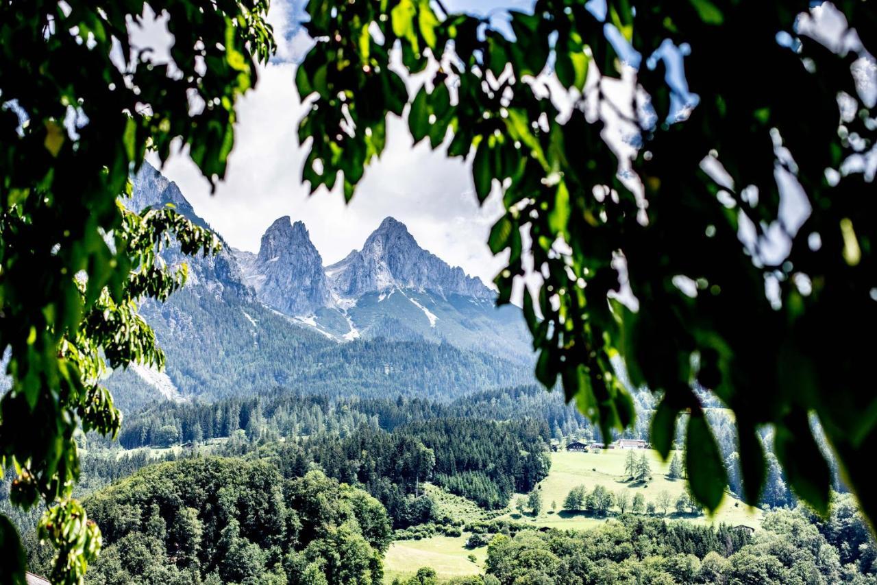 Alpenrelax Haus Weidmannsheil Wohnen Im Romantischen Forsthaus Werfen Eksteriør bilde