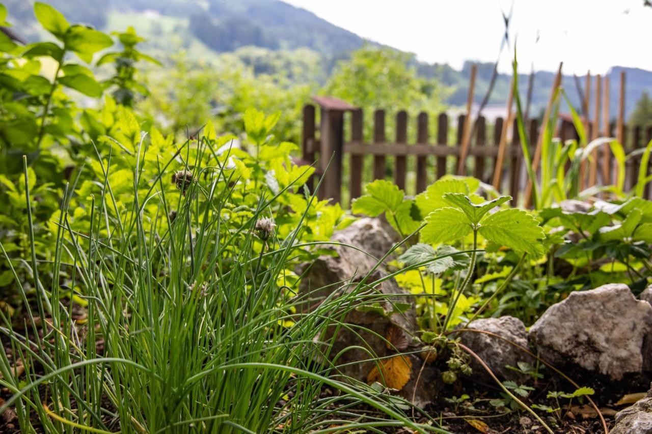 Alpenrelax Haus Weidmannsheil Wohnen Im Romantischen Forsthaus Werfen Eksteriør bilde